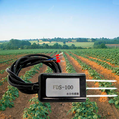 農田土壤水分監測神器—土壤水分傳感器