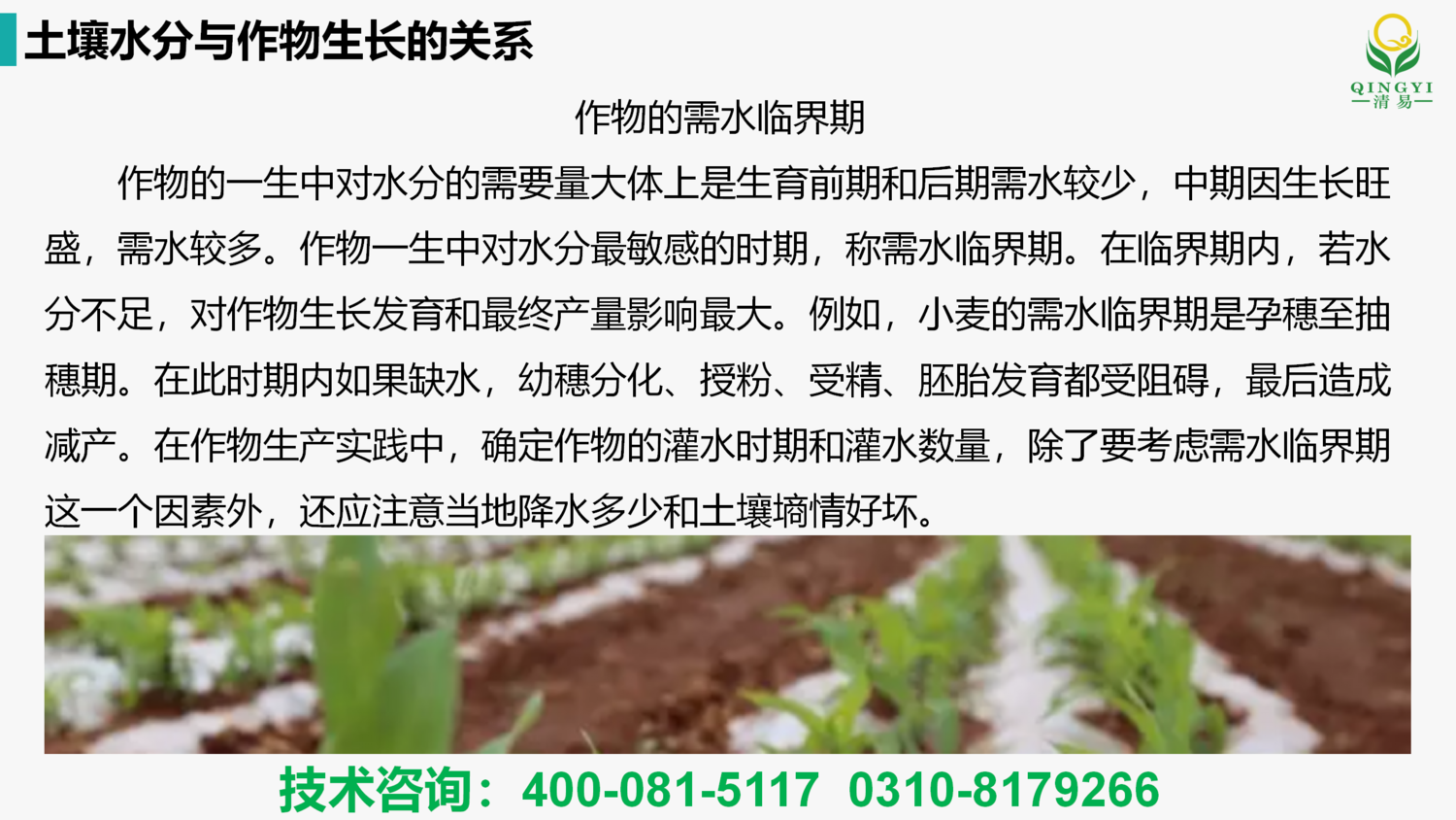 FD-350 土壤水分傳感器_03.png